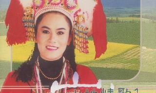 中国娃歌词 中国娃歌词